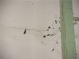 Наши съемочные группы часто выезжают по тревожным…