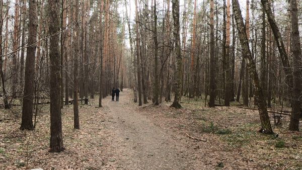 С таянием снега просыпаются клещи и у них начинается активный сезон.