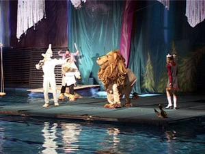 Каждый год в бассейне «Сатурн» в дни новогодних…