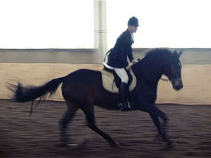 Раменский республиканский ипподром, на котором 12 января…