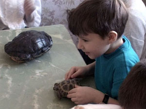 «Воспитание детей на традициях народной культуры…