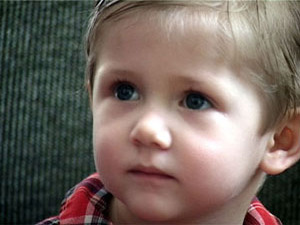 На сегодняшний день в Раменском приюте воспитываются 26…