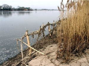 С 12 апреля в южных районах Московской области открылась…