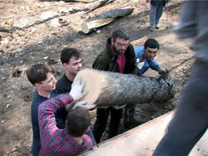 19 апреля в городе проходил субботник. Сотрудники…