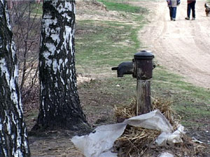 В воскресенье жители деревни Торопово пришли на сход.В…