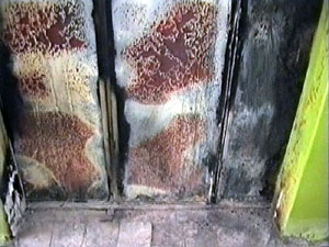 Пожар начался около трех часов ночи. Стоящая на первом…