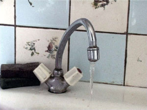 В результате сильных морозов в этом году у некоторых…