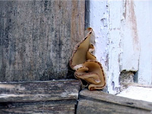 Почти 9 лет у жителей верхнего этажа дома №27Б по улице…