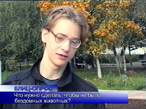 Блиц-опрос. Что нужно сделать, чтобы не было бездомных…