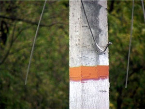 Получив информацию о штормовом предупреждении, службы ПТ…