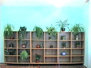 21 ноября заведующая детским садом №34 в поселке…