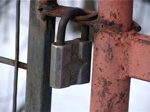 То, что случилось в садовом товариществе «Снежинка…