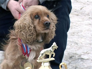 Почти каждый день кинологи Раменского центра ГУВД…