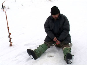 В Борисоглебском озере пропала рыба. Такие слухи стали…