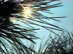 С именинами Татьяны в народе связывают множество примет…