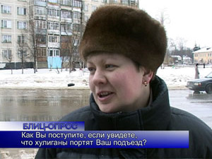 Блиц-опрос. Как вы поступите, если увидите, что хулиганы…