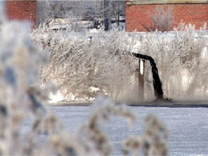 Каждый день на Раменскую станцию очистки сточных вод…