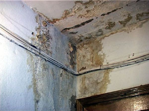 Жильцы верхних этажей дома №18 по улице Красноармейская…