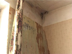 И снова протекающие крыши. На этот раз в первом корпусе…