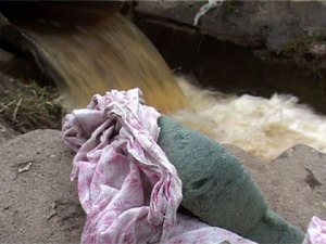 Раменские экологи и сотрудники УВД выехали вчера на…