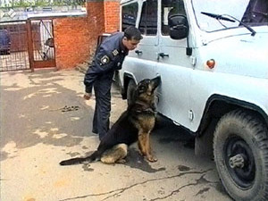 18 мая в центре кинологической службы проходили…