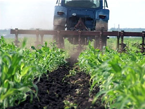 Об итогах посевной кампании говорили сегодня на…