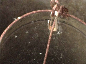 Недавно мы показывали сюжет про деревню Сафоново. Пять…