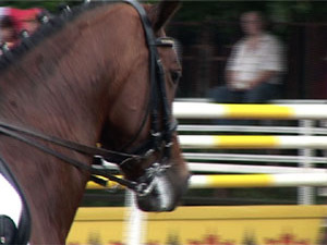 В воскресенье на Раменском республиканском ипподроме…