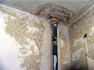 Сегодня нам позвонили жители дома №15 по улице…