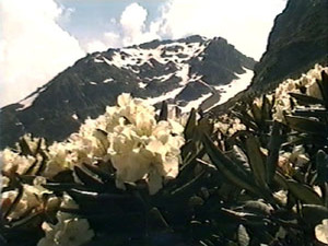 На одном из перевалов Главного Кавказского хребта 26…