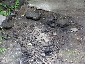 Вчера нам позвонили жители дома №33 по улице Коминтерна…