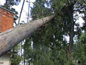 Минувшей ночью над большей частью Раменского района…