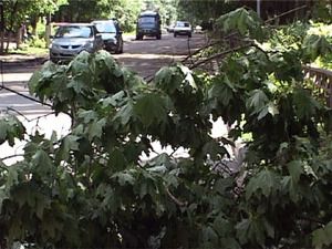 Ливневые дожди, сопровождавшиеся сильными порывами ветра…