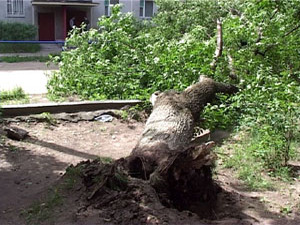 В среду ночью над большей частью города Раменское прошёл…