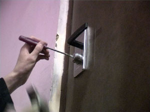 Время летних отпусков — самый благоприятный период для…