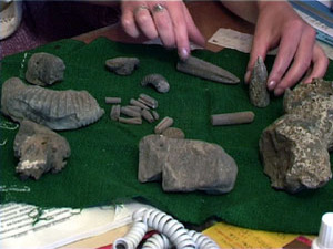 Одно из любимейших мест отдыха жителей города Раменское…