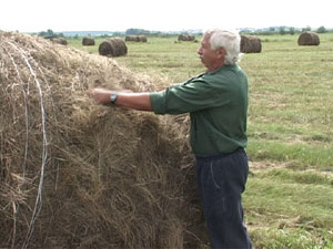 Ильин день — так по народному календарю называют 2…