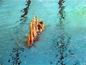 Жителям Раменского района представилась уникальная…