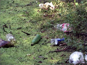 Озеро Пионер раньше было одним из любимых мест отдыха…