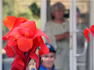 20 августа в городе Дмитров проходил областной праздник…