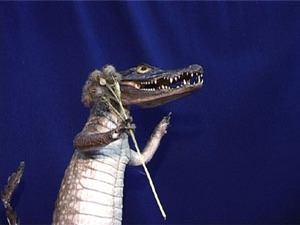 «Остров открытий » — так называется интерактивная…