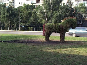 С каждым годом в городе появляется всё больше…