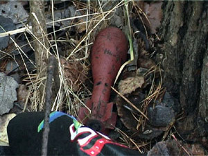 Уже в течение пяти дней жильцы дома №15 в посёлке…