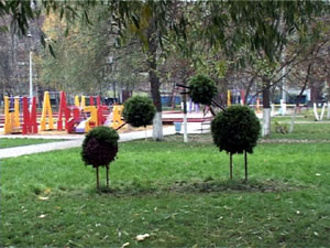 Новый зимний облик вертикальных клумб. Сотрудники…