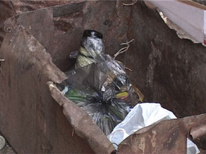 Несколько стихийных свалок образовалось возле домов на…