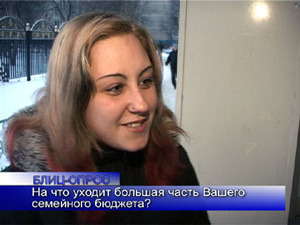 Блиц-опрос. На что уходит большая часть Вашего семейного…