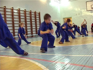 Федерация у-шу Московской области недавно пополнилась…