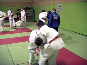 Более тридцати лет существует в Жуковском, недалеко от…