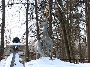 8 марта домашние дела и заботы прекрасной половины…