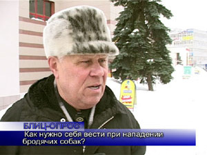 Блиц-опрос. Как нужно вести себя при нападении бродячих…